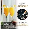 Buy ZOGOZA Wine Glasses Champagne Flute Glasses for Wine, Juices and ...