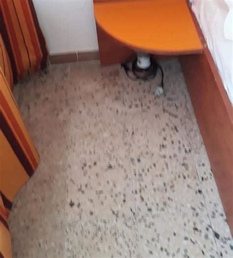 HOTEL CLAUDIA (Venus, Constanta County) - Guesthouse Reviews & Photos ...