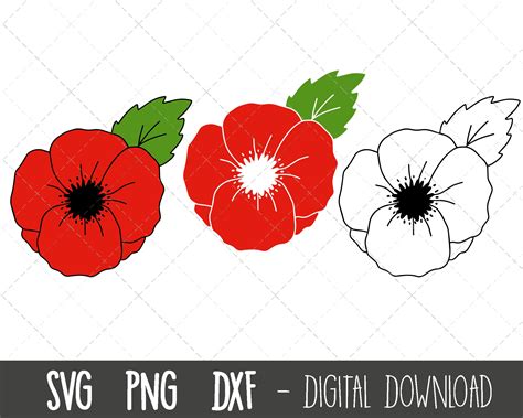 Clipart Poppy