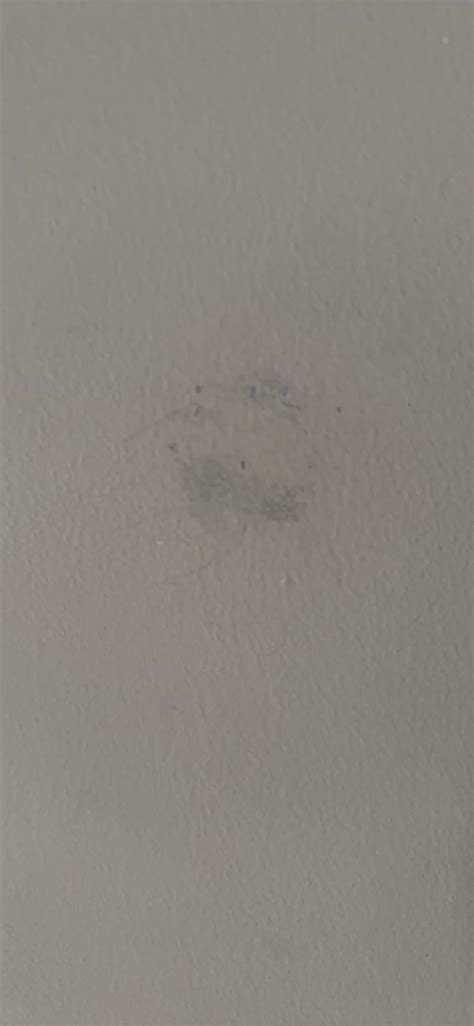 Sellotape Sticky Tack For Home & Office,Reusable Adhesive Ideal For ...