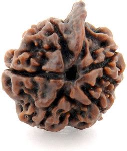 Jewelswonder 5 Mukhi Rudraksha 100% Natural Wood Pendant Price in India ...