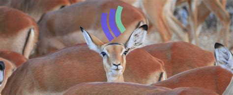 How to easily implement anomaly detection? | Powerful Analytics for ...