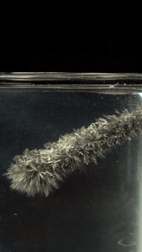 Fun Science Projects for Kids 的图像结果