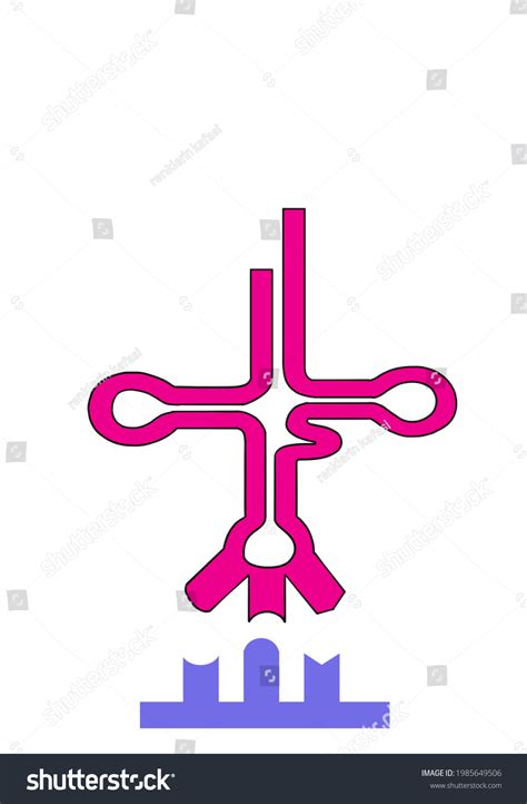 RNA Drawing 的图像结果