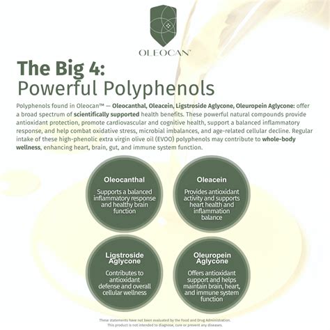 Daily EVOO Polyphenol Supplement | 1 Daily Pill | OLEOCAN™ – Oleocan