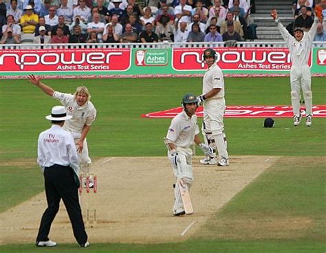 Matthew Hoggard and Geraint Jones scream their appeal against Matthew ...