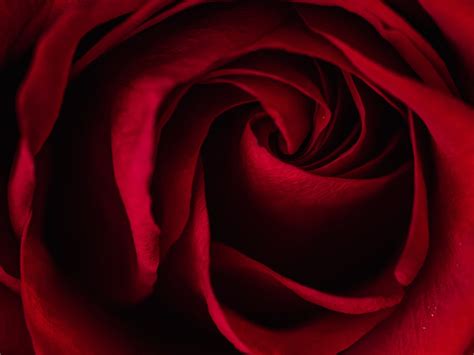 Valentine Week List: चाहत से भरे इस हफ्ते की पूरी लिस्ट देखें यहां