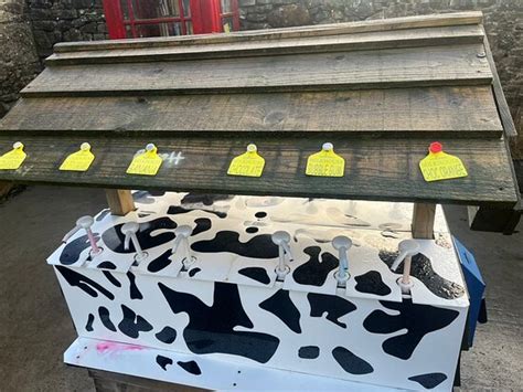 Fresh milk on tap - Reviews, Photos - Midtown Milkhouse - Tripadvisor