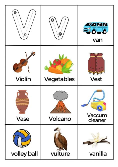 What Starts with Letter V Words Worksheets Printable PDF