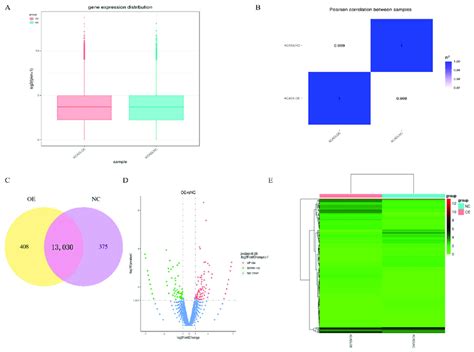 Image result for Gene Expression Map