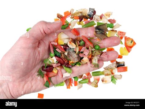 Image result for Hand Sorting Method