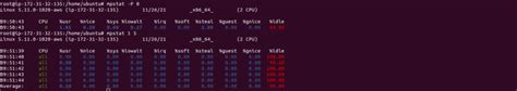 Image result for Mpstat Command in Linux