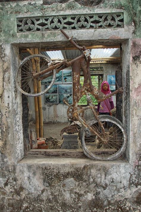 Image result for Java Lost