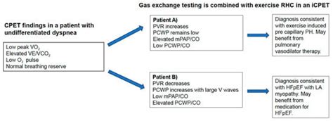 Exercise Testing in Patients with Pulmonary Hypertension