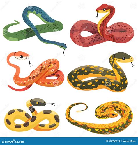 Colorful Cartoon Snakes, Different Patterns Textures, Variety Species ...