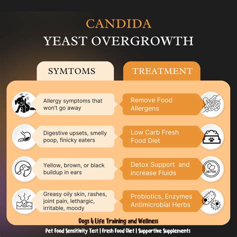 Candida Causes Symptoms And Natural Remedies | Dogs 4 Life