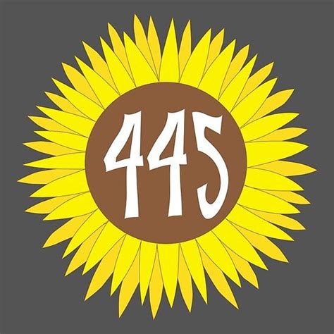 Image result for 445 Area Code