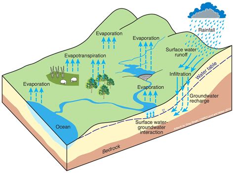 Landscape Design Water Runoff Diagram Stormwater Management