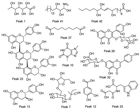 UHPLC–MS Characterization, and Antioxidant and Nutritional Analysis of ...
