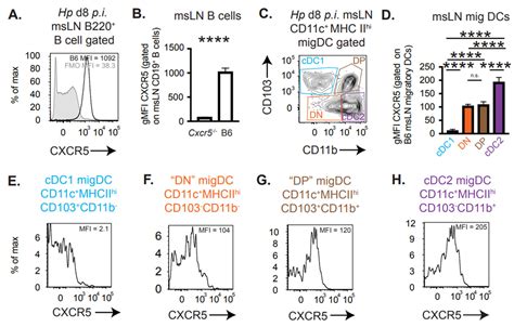 CXCR5 Signals Fine-Tune Dendritic Cell Transcription and Regulate TH2 ...
