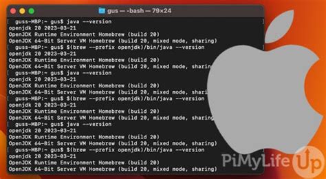 Image result for Oracle Java Not Working in MacBook