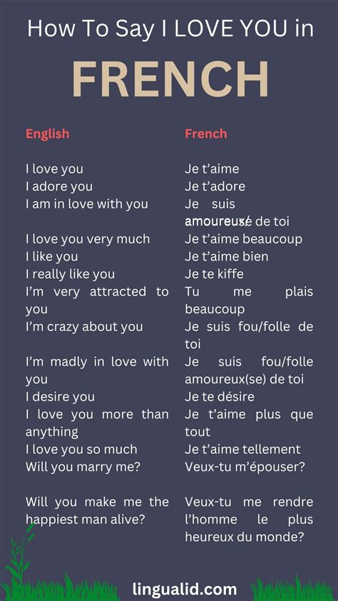Sweet Romantic Phrases in French for Lovers