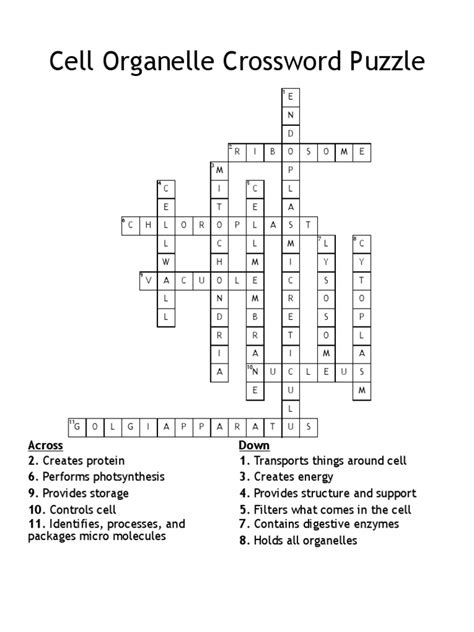 Cell Organelle Crossword Puzzle Answer Key 40238 6162ed83 | PDF | Cell ...