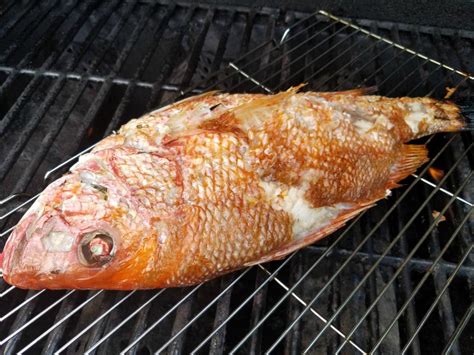 Grilled Red Snapper...A Fishy First Fishtale For Me! - Meemaw Eats