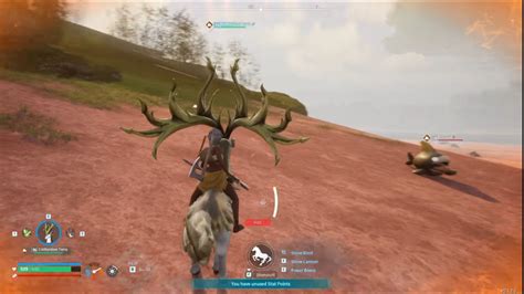 High Quality Pal Oil