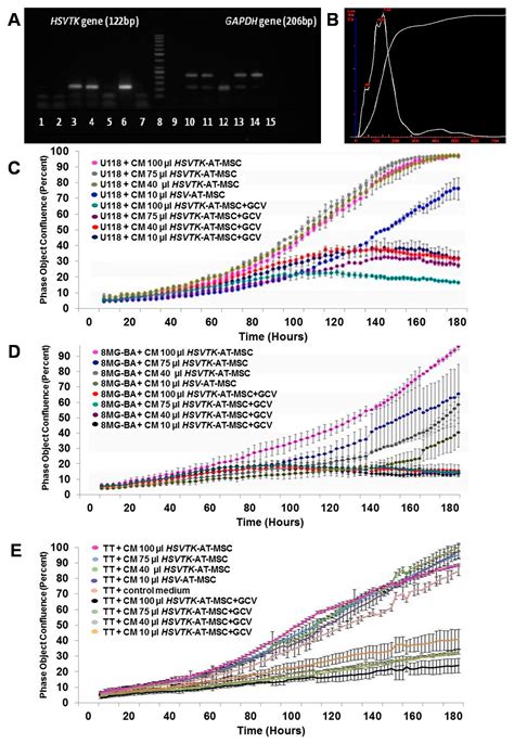 Suicide Gene Therapy Mediated with Exosomes Produced by Mesenchymal ...