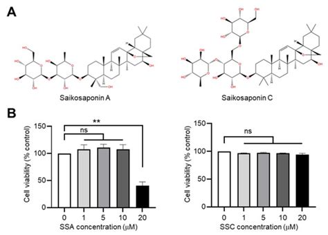 IJMS | Special Issue : Research on Plant Bioactive Phytochemical