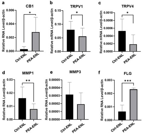 Palmitoylethanolamide-Incorporated Elastic Nano-Liposomes for Enhanced ...