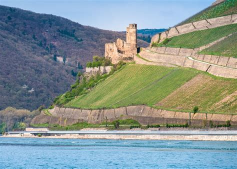 Rhine River Castles