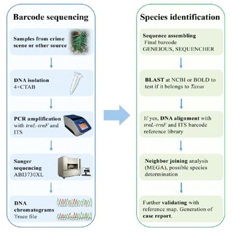 Image result for Forensic Botany DNA Barcoding