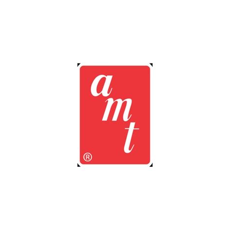 AMT Models 的图像结果