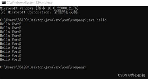 Only One Command Java 1.17.1 的图像结果