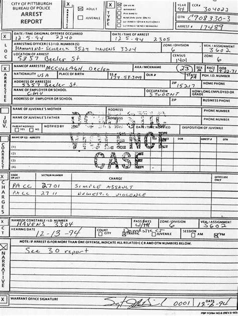 Local Arrest Records 的图像结果