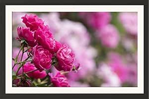 STUDIO AVINASH Musk Rose | Kasturi Gulab Flower 15 Wall Hanging Framed ...