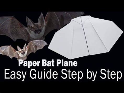 Tutorial Bat Paper Plane 的图像结果