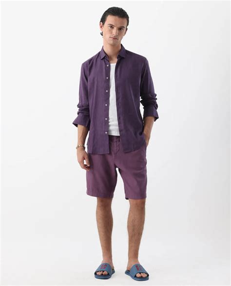 Rare Rabbit Men's Linex-1 Purple 100% Linen Plain Regular Fit Full Sle