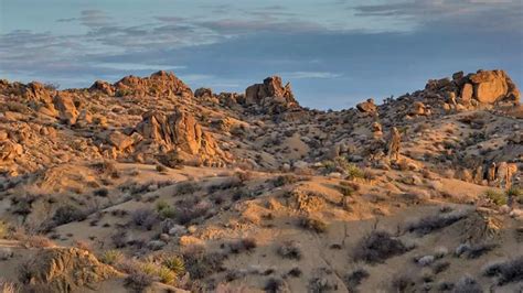 Image result for Two Tree Hiking