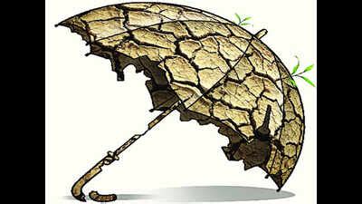 Farmers not getting pump connections in Vidarbha | Nagpur News - Times ...