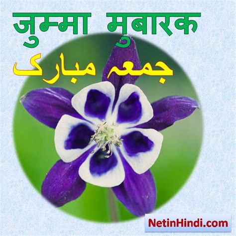 Jumma mubarak flower wish of jumma with flower photos – Net In Hindi.com