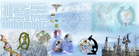 Insulin-Mediated Signaling Pathways in Healthy State and Insulin ...