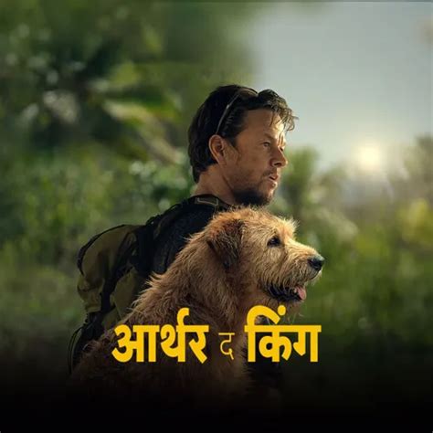 Arthur the King - Hindi 2024 - Watch Arthur the King - Hindi 2024 Full ...