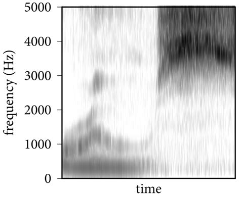 Reading Sound Spectrogram 的图像结果