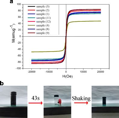 Magnetization 的图像结果