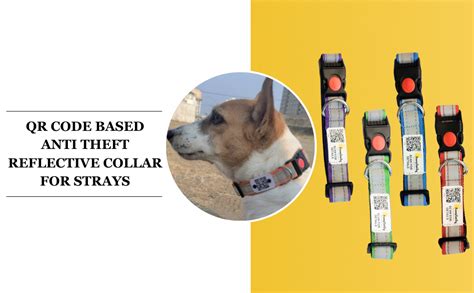 Buy India's First Smart Reflective Collar by Pawsitivity for Strays ...
