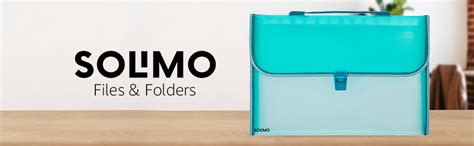 Amazon Brand - Solimo Semi Transparent Expanding File Folder with 13 ...