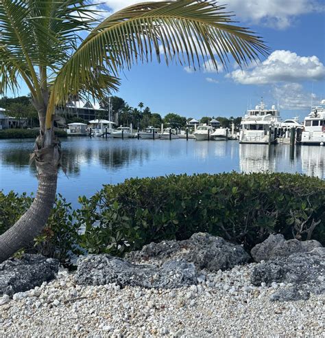 Angler's Club HOA Mangrove Trimming - WGI